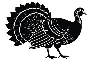  turkey silhouette vector illustration. 