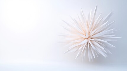 Naklejka premium Abstract Spiky Sphere Minimalist Design High-resolution Soft Lighting Horizontal Close-up View Intricate Texture Geometric Art White Background Soft Cream Tones Ideal for Website Banners