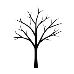 Obraz premium Adobe Illustrator Artwork