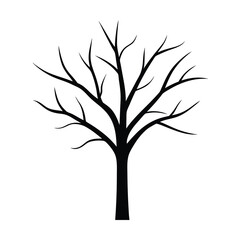 Obraz premium Adobe Illustrator Artwork