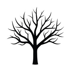 Obraz premium Adobe Illustrator Artwork