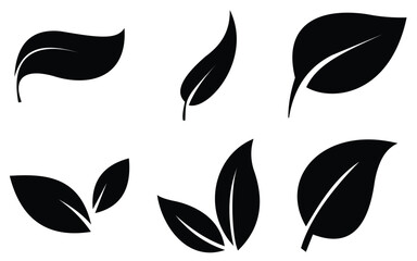leaf 05