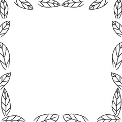 square border, floral leaves, hand drawn outline transparent background