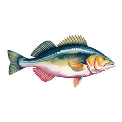 Cod Watercolor Sublimation Design