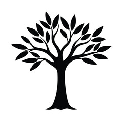 Fototapeta premium Adobe Illustrator Artwork