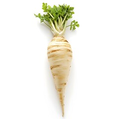 A single parsnip with vibrant green leaves is positioned against a clean white background, showcasing its natural texture and fresh appearance beautifully.