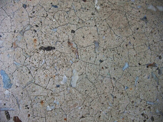 Surface texture showcasing intricate cracks and variations in color in a natural setting