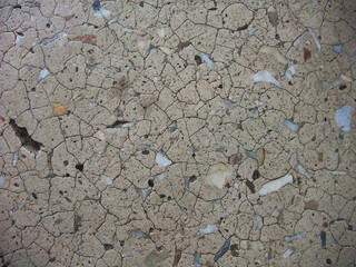 Detailed view of cracked textured surface revealing natural materials embedded within