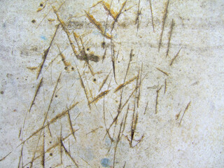 Texture of natural fibers embedded in a weathered surface showcasing intricate patterns and earthy tones in a close-up view