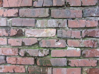 Texture-rich red brick wall showcasing natural wear and historical charm in an urban setting