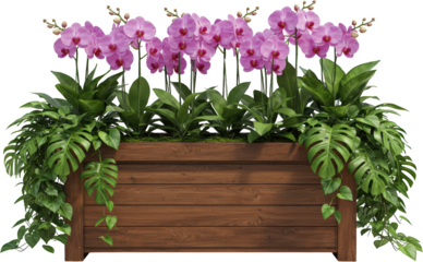 Lush Pink Orchid and Tropical Plant Arrangement in Wooden Planter Box