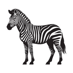 Strong zebra silhouette vector designed for modern logo creation and digital branding – zebra silhouette – zebra vector – zebra illustration – silhouette of zebra

