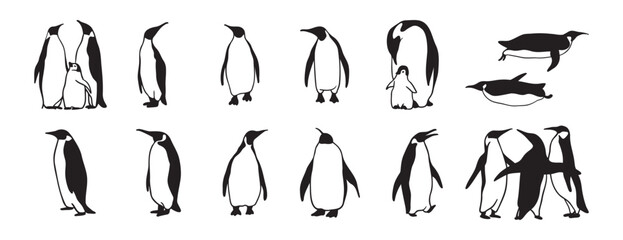 penguin logo doodle hand drawn icon set. Outline drawing penguin line clipart symbol collection