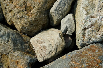 きれいに敷き詰められた大小の石