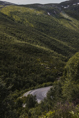 Norwegian mountain canyon road with a sharp bend where black lines from car tires are visible on the asphalt. Green trees all around.