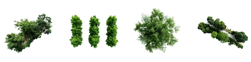 Multiple types of dense green trees and bushes are presented in isolation against a plain white background, ideal for design and nature-focused projects