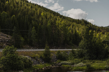 Norwegian natural landscape with a mountain with green trees growing on it and an asphalt road at the foot.