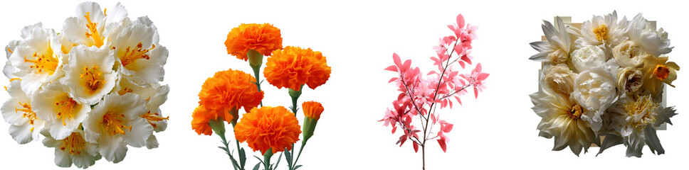 Beautiful assortment of flowers featuring white, orange, pink, and yellow blossoms, highlighting their unique shapes and vibrant colors against a clean backdrop