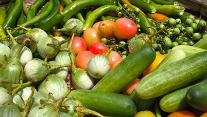 Fresh vegetables for cooking. Vegetables contain dietary fiber that helps cleanse the intestines.