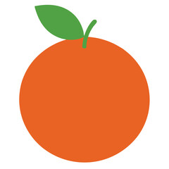 vector illustration of an orange