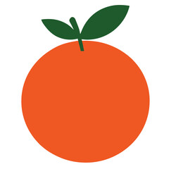 vector illustration of an orange fruit