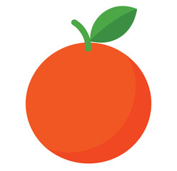 apple orange illustration
