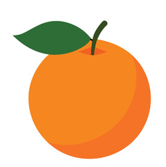 orange fruit illustration