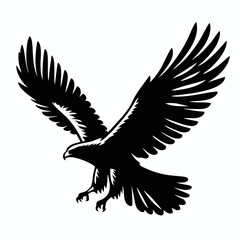 Fototapeta premium A silhouette of an eagle diving.