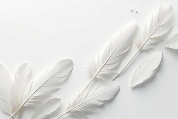 Naklejka premium Crisp white feathers on seamless white backdrop, abstract, pure, close-up