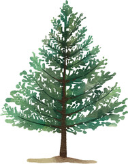 watercolor pine tree
