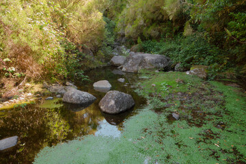 25 Fontes Waterfall - Hiking Levada trail in Laurel forest at Rabacal Madeira Island, Portugal