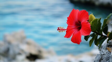  Red and Gorgeous Shoreline Flowers, A Vibrant and Captivating Natural Display by the Water's Edge