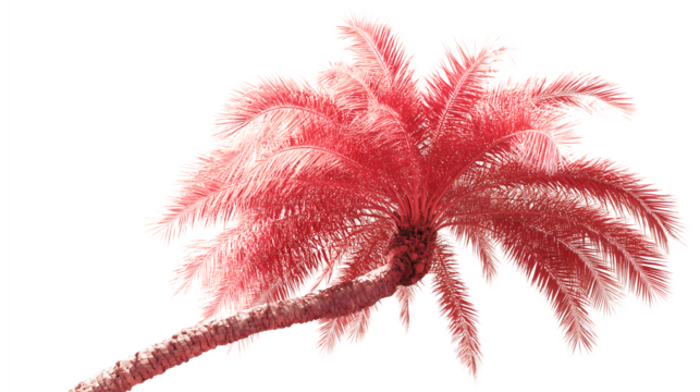Artificial Pink Palm Tree Stunning Decorative Foliage for Home and Garden