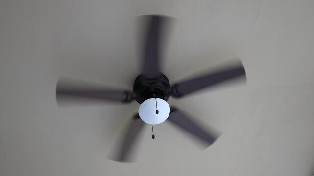 Ceiling fan fast spinning brown fin white lantern