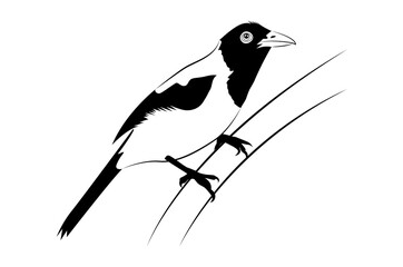Beautiful bird sparrow sitting on a branch digital line art isolated on white background - vector illustration