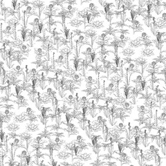 A black and white image of a field of flowers. The flowers are scattered throughout the image, with some in the foreground and others in the background