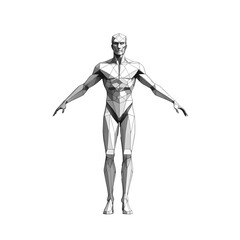 Obraz premium Modern geometric sculpture of a Human in a neutral pose on a minimalist background