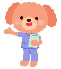 かわいいイヌのお医者さん　スクラブを着たイヌのお医者さん