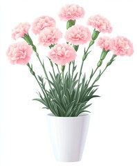 Delicate pink carnations in a white vase