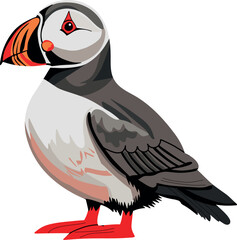 Puffin Bird