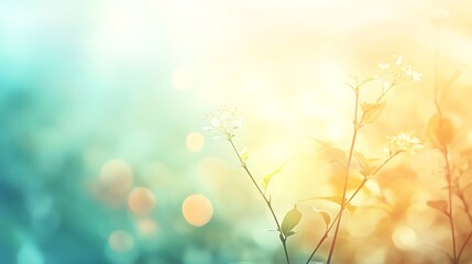 Spring blossoms with sunlit garden.