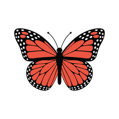 Butterfly hand drawn vector illustration