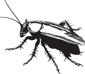 vector illustration of a cockroach