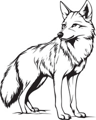 fox vector illustration