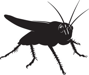 vector illustration of a cricket
