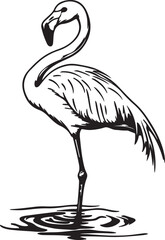 vector illustration of flamingo