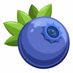 Organic blueberry isolated on white background