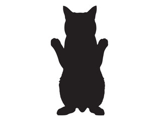 CAT SILHOUETTE WHITE BACKGROUND