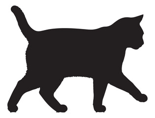 CAT SILHOUETTE WHITE BACKGROUND