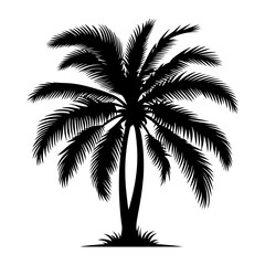 palm tree silhouette vector style
